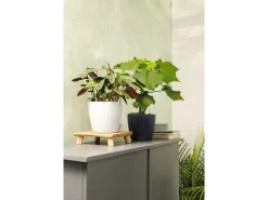 Lechuza Töpfe<® Pflanzgefäß Classico Color 28 Ø 28 cm Weiß