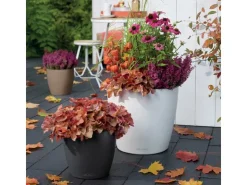 Lechuza Töpfe<® Pflanzgefäß Classico Color 28 Schiefer Ø 28 cm Grau