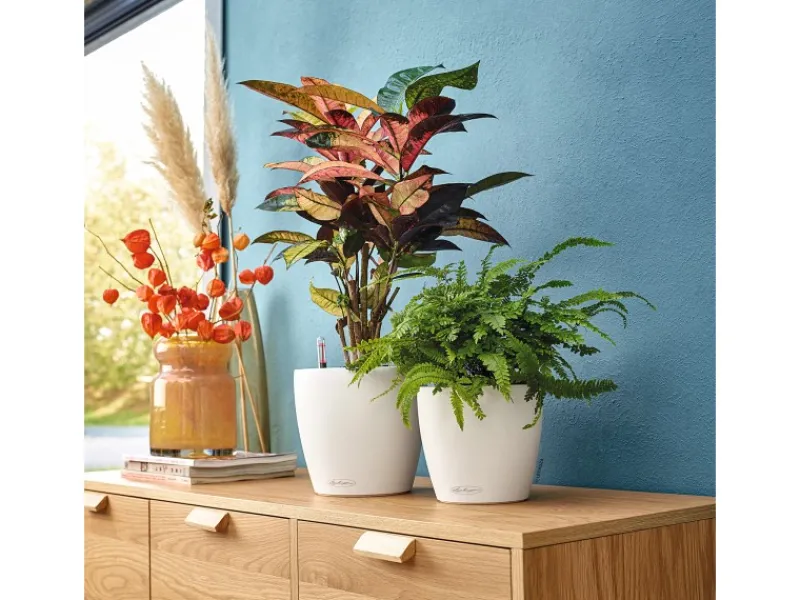 ® Pflanzgefäß Classico Color 21 Ø 21 cm Töpfe