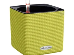 Lechuza Töpfe<® Pflanzgefäß Cube Color 14 cm x 14 cm x 14 cm Limetten Grün