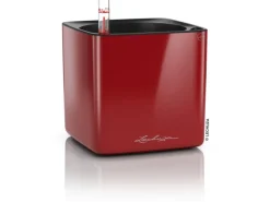® Pflanzgefäß Cube Glossy 14 Scarlet highgloss 14 cm x 14 cm Töpfe