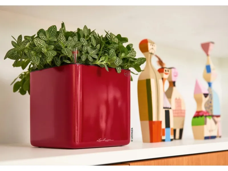 ® Pflanzgefäß Cube Glossy 14 Scarlet highgloss 14 cm x 14 cm Töpfe