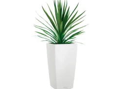 Lechuza Töpfe<® Pflanzgefäß Cubico Color 40 40 cm x 40 cm Weiß