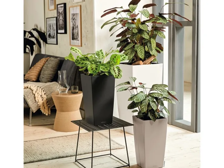 Lechuza Töpfe<® Pflanzgefäß Cubico Color 40 40 cm x 40 cm Weiß