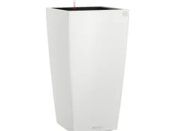 Clearance Lechuza ® Pflanzgefäß Cubico Color 22 22 cm x 22 cm Weiß