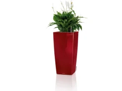 Online Lechuza ® Pflanzgefäß Cubico Premium 50 cm x 50 cm Scarlet hochglanz Rot