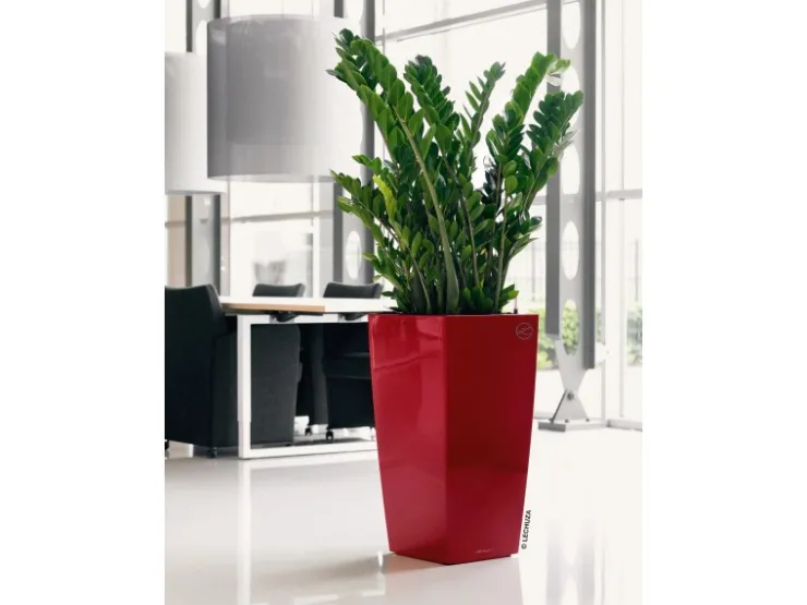 Online Lechuza ® Pflanzgefäß Cubico Premium 50 cm x 50 cm Scarlet hochglanz Rot
