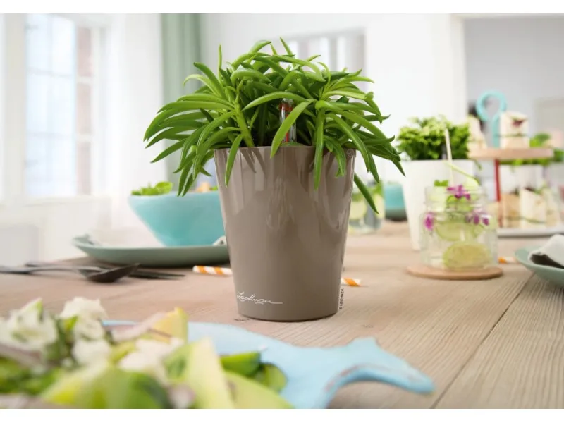Discount ® Pflanzgefäß Mini-Deltini hochglanz Ø 10 cm Töpfe