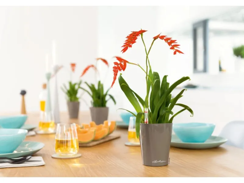 Discount ® Pflanzgefäß Mini-Deltini hochglanz Ø 10 cm Töpfe