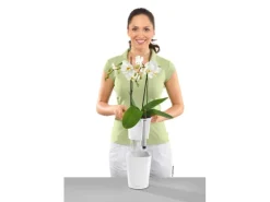 Outlet ® Pflanzgefäß Mini-Deltini hochglanz Ø 10 cm Töpfe