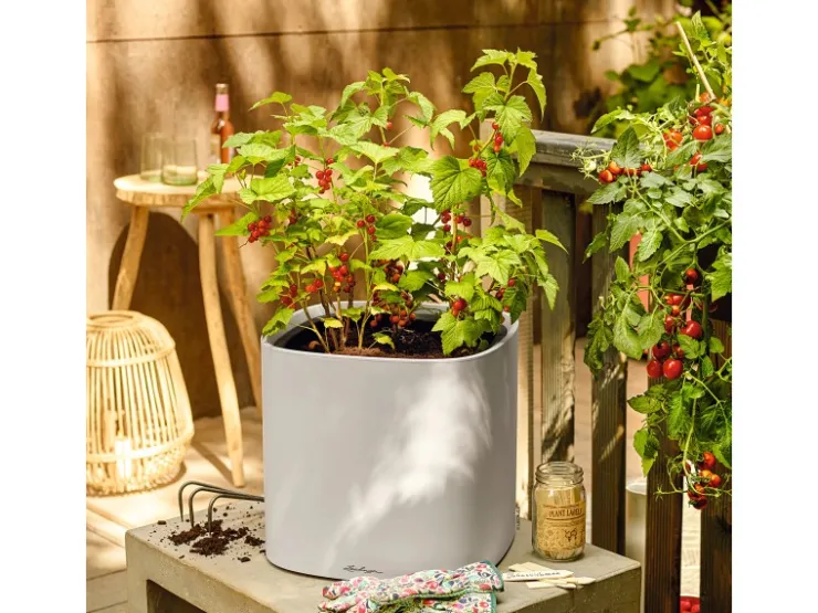 Lechuza Töpfe<® Pflanzgefäß Pila Color Planter 35 cm x 35 cm x 33 cm Licht Grau