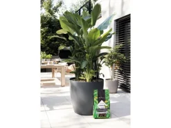 Hot Lechuza ® Pflanzsubstrat Pon XXL 25 l Neutral