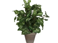 Clearance Kunstpflanze Syngonium im Blumentopf Ø 25 cm x 35 cm Grün Töpfe