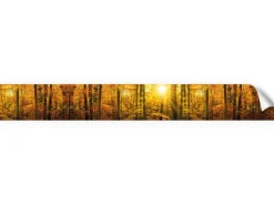 Best Myspotti Küchenrückwandfolie Herbstwald Selbstklebend 450 cm x 60 cm Küchenrückwände