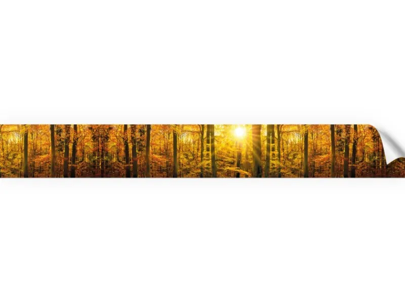 Best Myspotti Küchenrückwandfolie Herbstwald Selbstklebend 450 cm x 60 cm Küchenrückwände