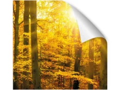 Best Myspotti Küchenrückwandfolie Herbstwald Selbstklebend 450 cm x 60 cm Küchenrückwände