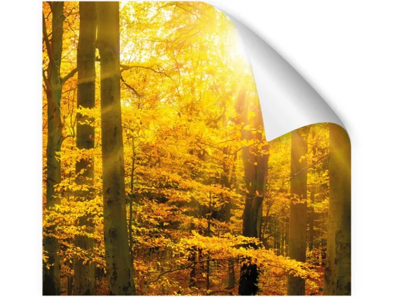 Best Myspotti Küchenrückwandfolie Herbstwald Selbstklebend 450 cm x 60 cm Küchenrückwände