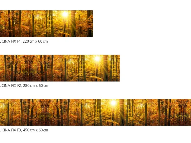 Best Myspotti Küchenrückwandfolie Herbstwald Selbstklebend 450 cm x 60 cm Küchenrückwände