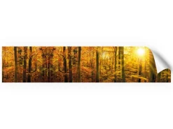Best Myspotti Küchenrückwandfolie Massimo Selbstklebend 450 cm x 60 cm