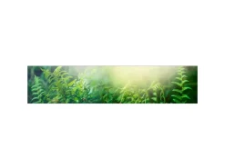 Best MySpotti Küchenrückwand Profix Cucina Kini 100 x 60 cm Creme-Grau