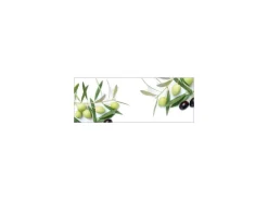 Best MySpotti Küchenrückwand Profix Cucina Olivenzweig 160 x 60 cm Olivgrün