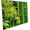 Best Myspotti Mini-Spritzschutzplatte Bambuswald 59 cm x 41 cm
