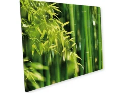 Best Myspotti Mini-Spritzschutzplatte Bambuswald 59 cm x 41 cm