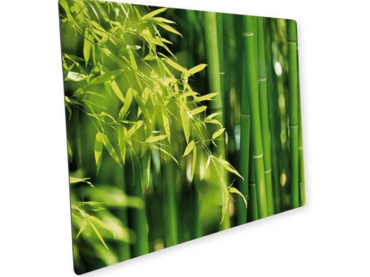 Best Myspotti Mini-Spritzschutzplatte Bambuswald 59 cm x 41 cm