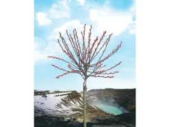 Best OBI Riesen-Salweide "Mount Aso" Rosa Höhe ca. 80 cm Topf ca. 5 l Salix Töpfe