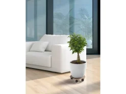 OBI Pflanzenroller Buche glatt rund Ø 30 cm