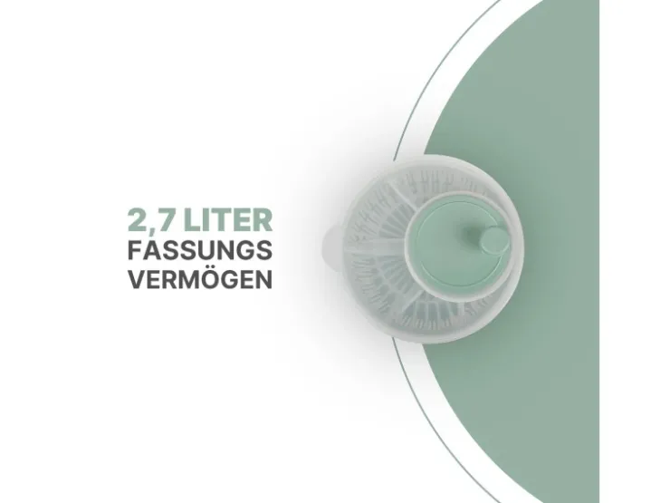 ProHome Pfannen<Salatschleuder 2,7 Liter Ø20 cm Grün