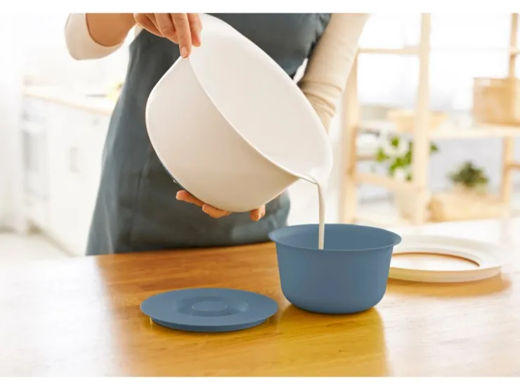 New Rotho Backschüssel-Set Fresh 2-teilig Horizontblau