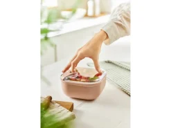 Hot Rotho Frischhaltedose Ela 1 l Rosa