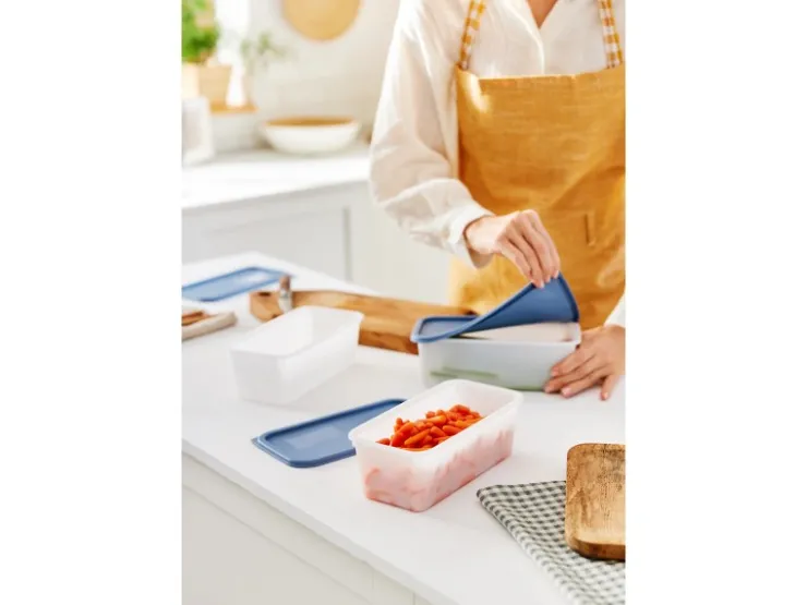Outlet Rotho Gefrierdosen-Set Domino 1,2 l Horizontblau 3-teilig