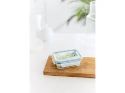 Outlet Rotho Kühlschrankdose Nala 0,45 l Mistletoe Green