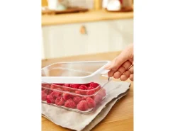Outlet Rotho Kühlschrankorganizer Cauma 2,6 l Weiß