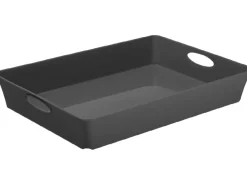 Best Rotho Living Box C4 Anthrazit 4,5 l