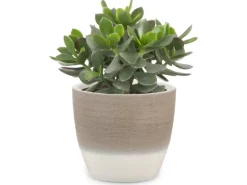 Best Übertopf 950 Ø 16 cm Espresso Cream Töpfe