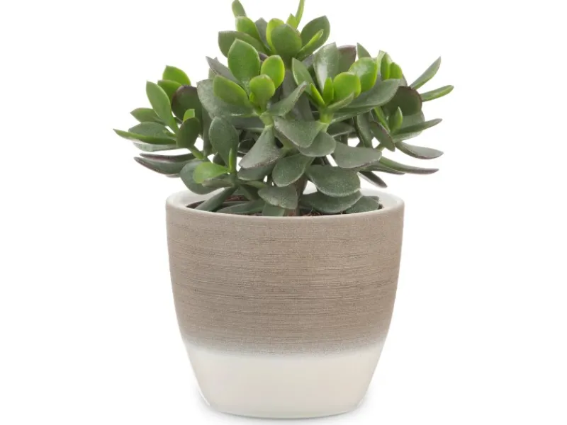 Best Übertopf 950 Ø 16 cm Espresso Cream Töpfe