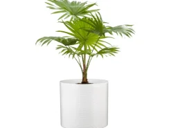 Scheurich Töpfe<Übertopf 828 Ø 16 cm Panna Weiß