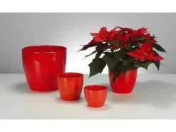 Discount Scheurich Übertopf 920 Ø 14 cm Red Rot