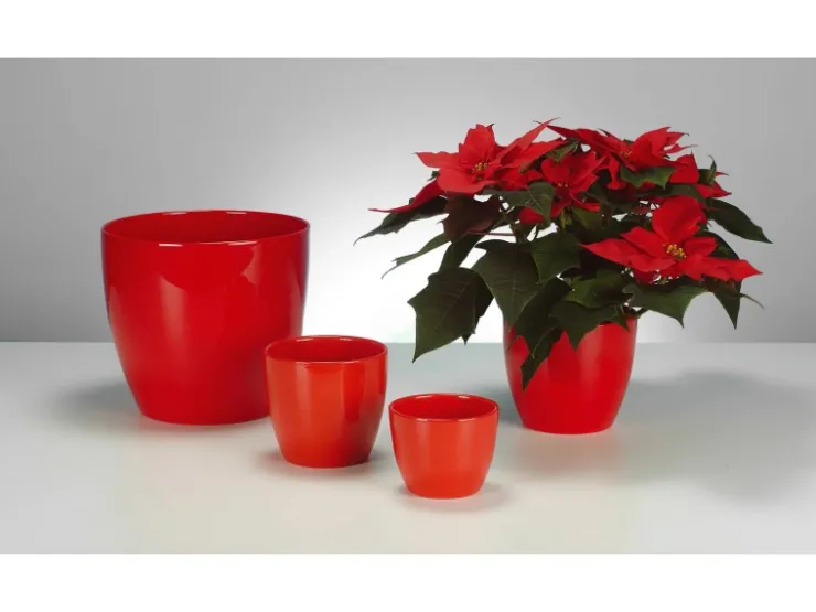 Discount Scheurich Übertopf 920 Ø 14 cm Red Rot