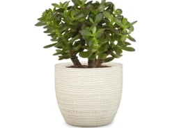 Best Übertopf 866 Ø 25 cm Vainilla Töpfe
