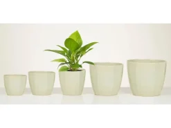 Clearance Scheurich Übertopf 939 Ø 10 cm x 9 cm Green Elegance