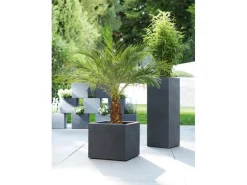 Sale Scheurich Pflanzgefäß C-Cube 240 38 cm x 38 cm Stony Grey Grau