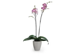Outlet Pflanzgefäß 620 Ø 13 cm Töpfe