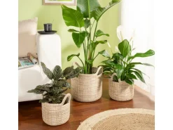 Clearance Scheurich Pflanzgefäß 514 Ø 36 cm x 34 cm Weiß