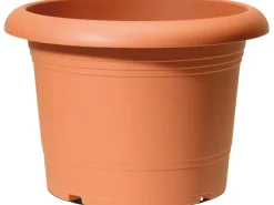 Scheurich Töpfe<Pflanzgefäß Oliver Ø 60 cm Terracotta