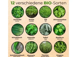 Best BIO Kräutersamen Set Mit 12 Sorten Töpfe