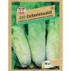 Best Bio Zichoriensalat Töpfe